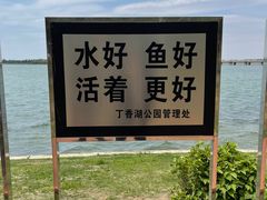 -丁香湖公园