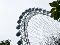 -琴亭湖公园