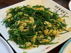 -靖远尕六美味羊羔肉