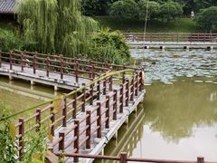 -广西壮族自治区药用植物园
