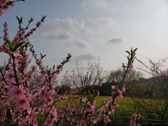 -贵阳市花溪国家城市湿地公园