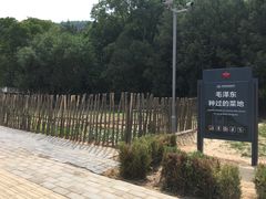 -延安杨家岭革命旧址