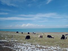 -青海湖国家重点风景名胜区