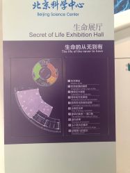 -北京科学中心儿童乐园