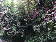 -东风公园