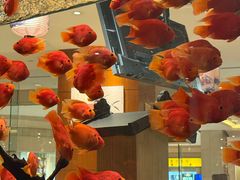 -怡咖啡海鲜自助餐厅(浦东香格里拉店)