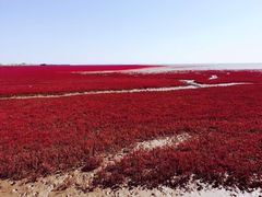 -盘锦红海温泉乐园