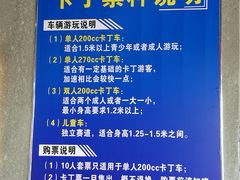 -锐擎卡丁车主题乐园(郊野公园店)