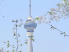 -庆云楼饭庄(什刹海店)