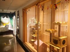 -猫腻·猫咖·撸猫馆(星光大道店)