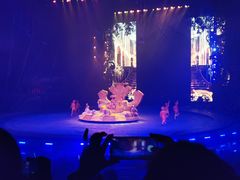 -广州长隆国际大马戏