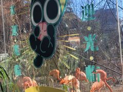 -ZOO COFFEE动物园咖啡(红山森林动物园店)