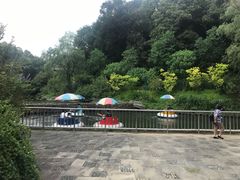 -杭州少年儿童公园