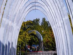 -大兴滨河森林公园