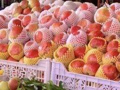 -城南综合水果批发市场(花园路店)