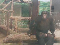 -昆明动物园