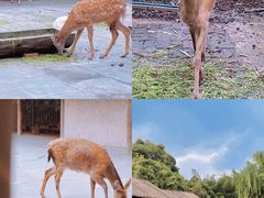 -金沙遗址博物馆