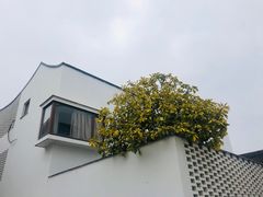 -东梓关景区村庄
