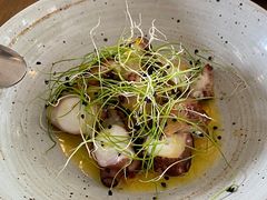 八爪鱼配烤玉米-BOR Eatery(安福路店)