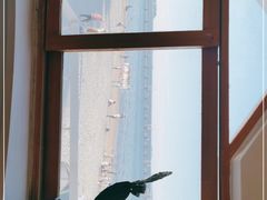 -ChanDu躔度咖啡(灯塔店)