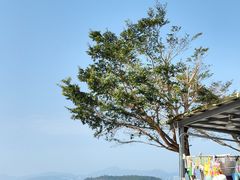 -七鲜渔港美食餐厅(巽寮湾海景店)