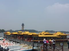 -溱湖国家湿地公园