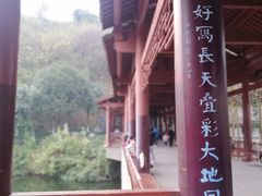 -重庆彩云湖湿地公园