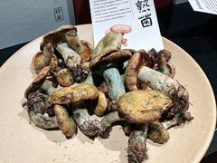 -滇野云南野生菌餐厅(陕西南路店)