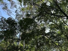 -水濂山森林公园