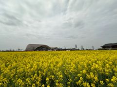 -中国天府农业博览园