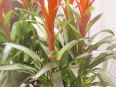 -小八仙·八方(移民广场店)