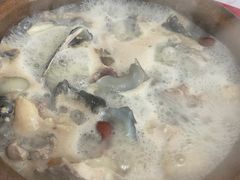 -花苑美食横琴生蚝火锅(拱北粤华路店)