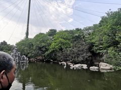 -合肥野生动物园