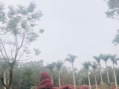 -莲花山公园