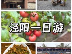 -茯茶镇