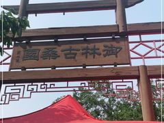 -御林古桑园