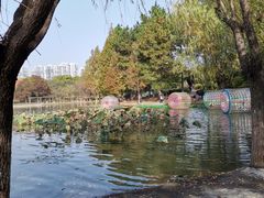 -白塘生态植物园