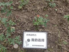 -重庆园博园