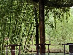 -合肥滨湖国家森林公园