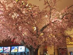 -大江户·温泉洗浴(浑南店)