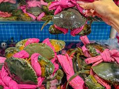 -辣螃铠盆盆蟹大排档(总店)