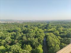 -灵谷景区
