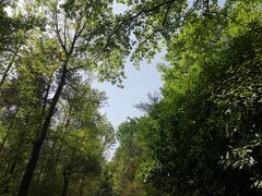 -大蜀山国家森林公园