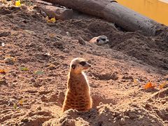 -北京野生动物园