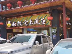 -新概念来凤鱼(璧山店)