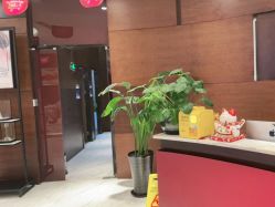 -洁铭新加坡医美