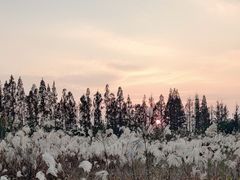 -良渚古城遗址公园