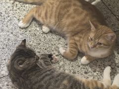 -谷咖啡·鲜花绿植花园餐厅