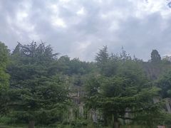 -长虫山生态公园风景林