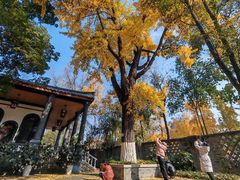 -平安桥天主教堂